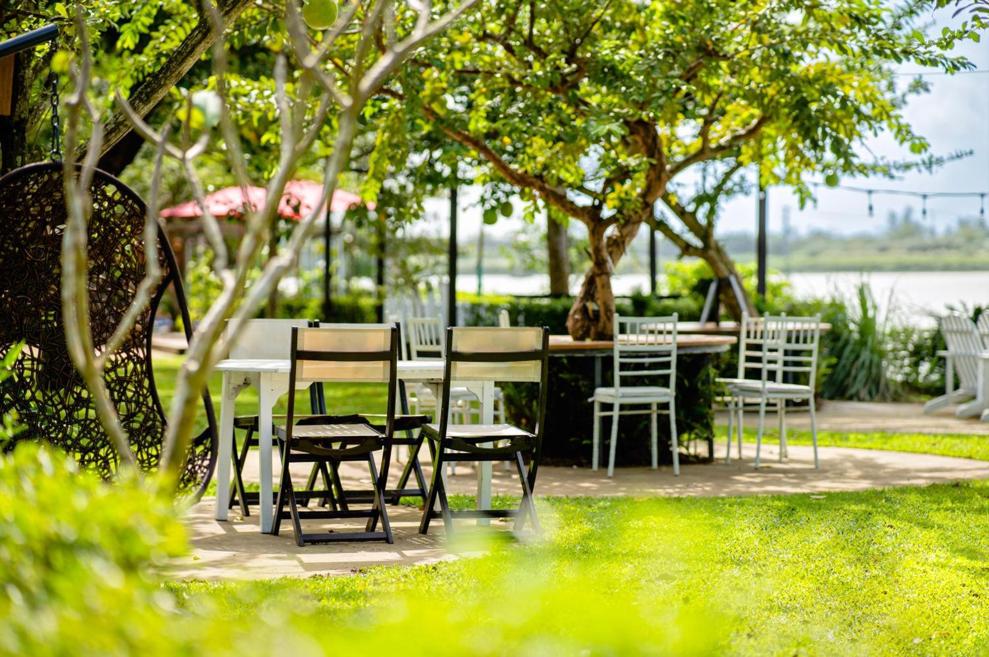 Serene Riverside Hotel Hoi An Exterior photo